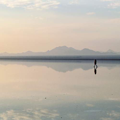 Photo #7409533