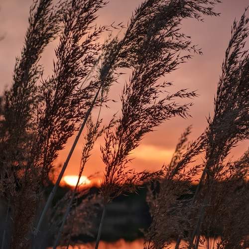 Photo #7409552