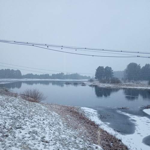 Photo #7409931