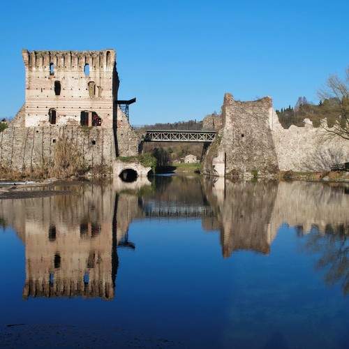 Photo #7410176