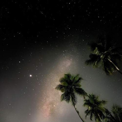 Photo #7410434