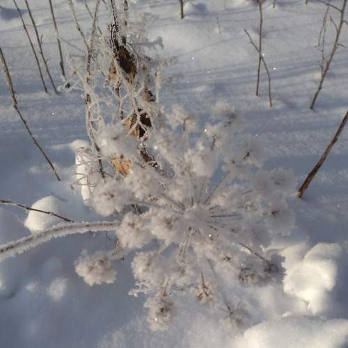 Photo #7410493