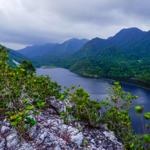 Photo #7410506