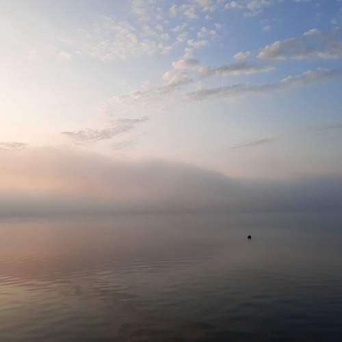 Photo #7410736