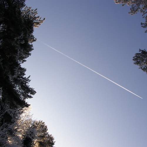 Photo #7410741