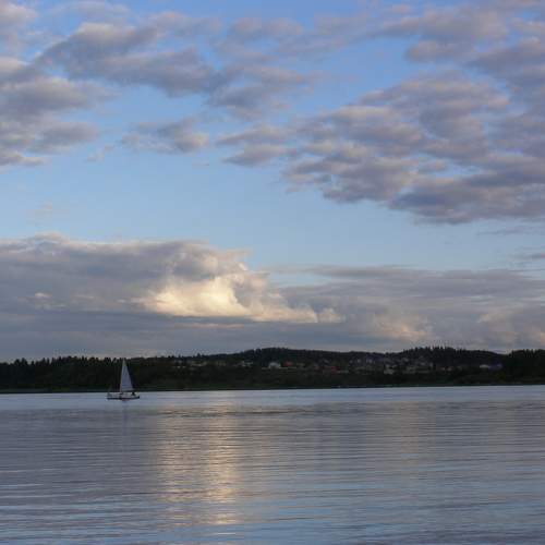 Photo #7410829