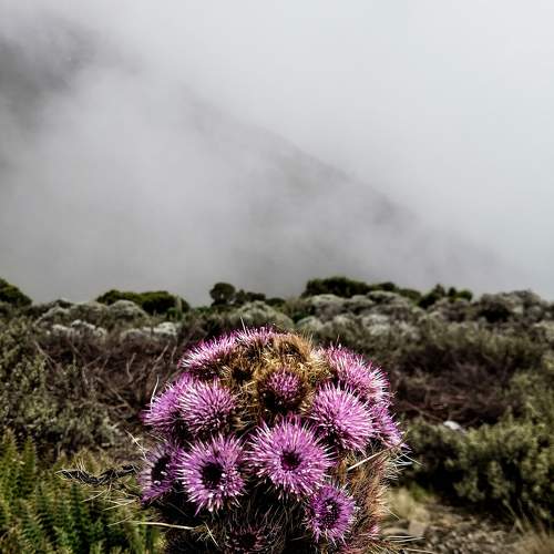 Photo #7412167