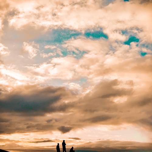 Photo #7412179