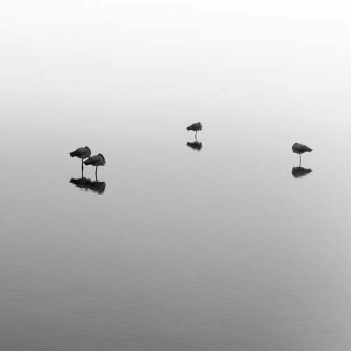Stillness