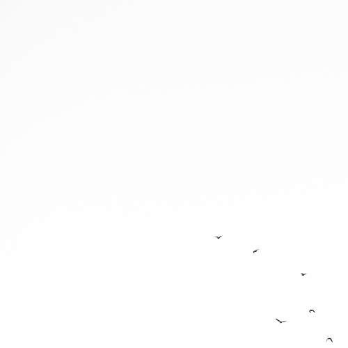 Photo #7412519