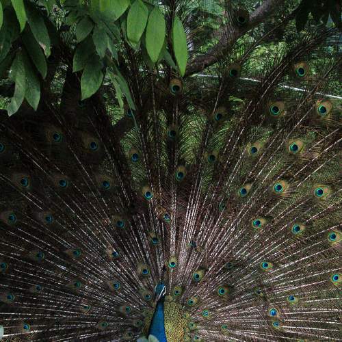 Photo #7412918