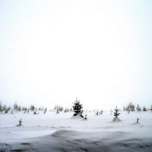 Photo #7413049