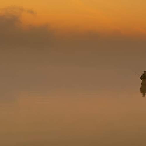 Photo #7413050
