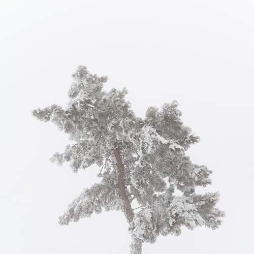 Photo #7413056
