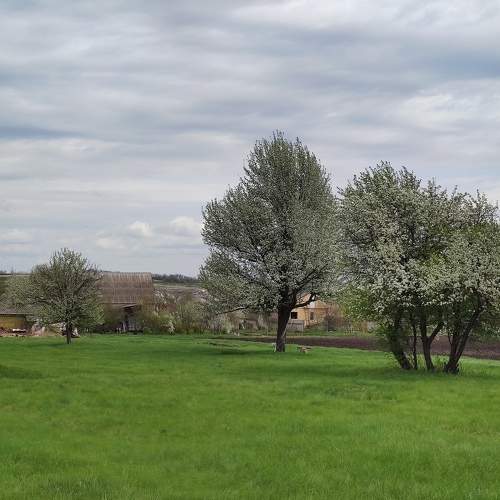 Photo #7413081