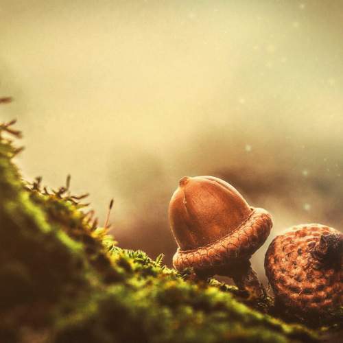 Photo #7413305