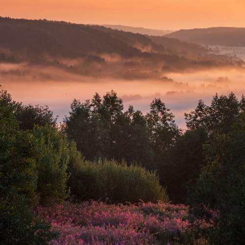 Photo #7413505