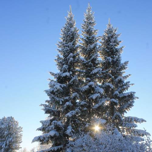 Photo #7414045