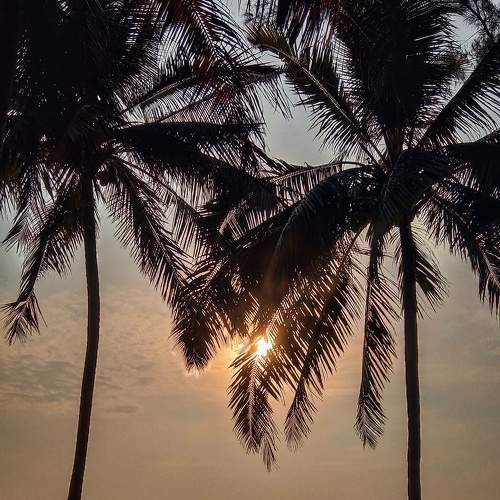 Photo #7414222