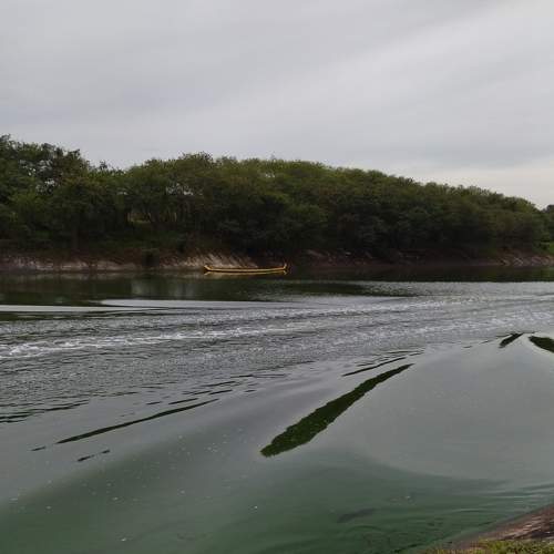 Photo #7414267
