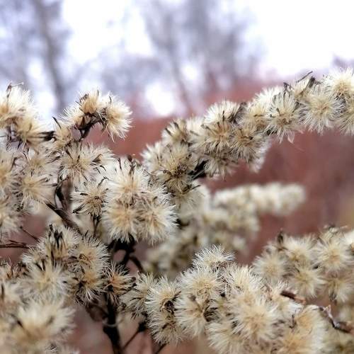 Photo #7414642