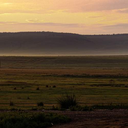 Photo #7414822