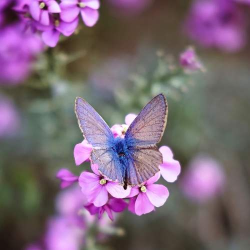 Photo #7415316