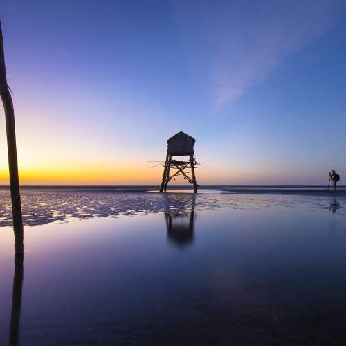 In the morning light