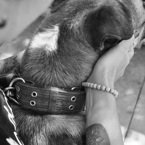 Photo #7415987