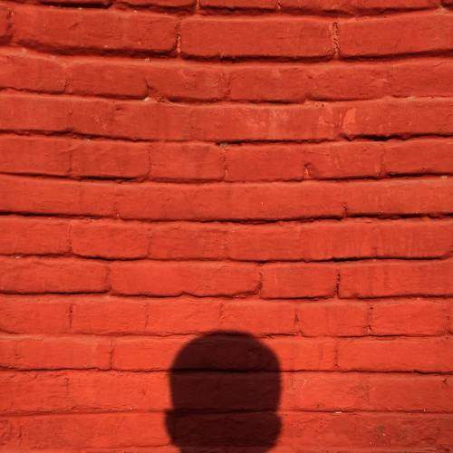 Photo #7416562