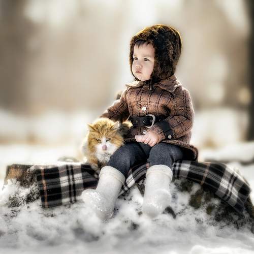 Photo #7416712