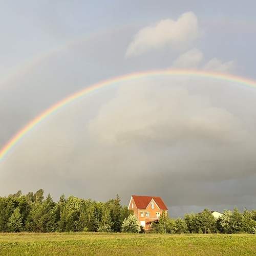 Photo #7416852