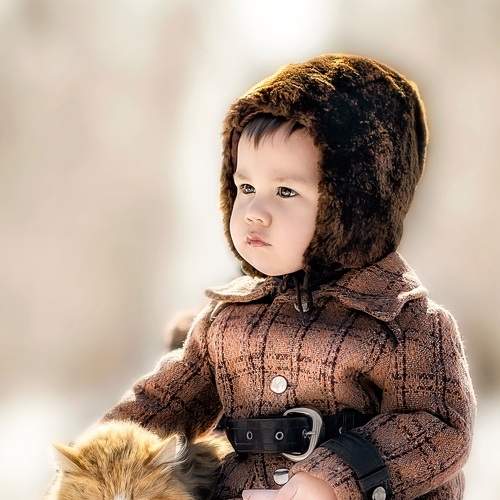 Photo #7416938