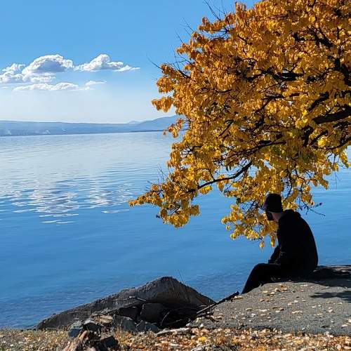 Photo #7416959
