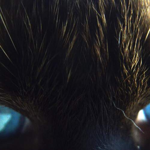 Mirada