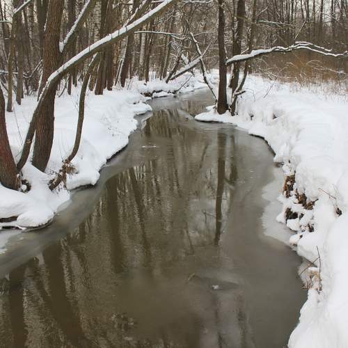 Photo #7417944