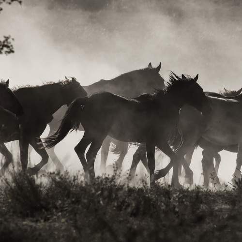 Photo #7418258