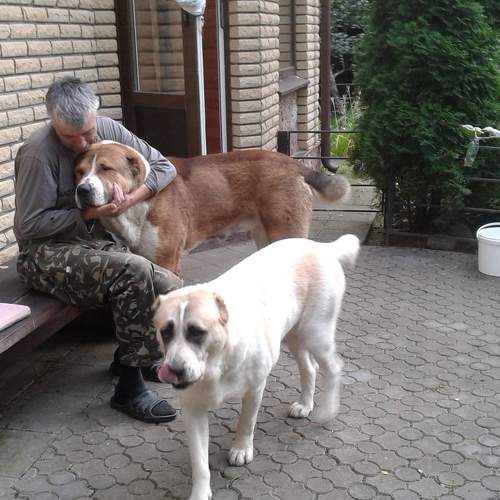Photo #7418591