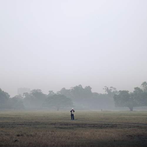 Photo #7419070