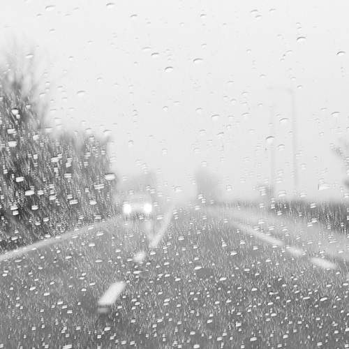 Photo #7419312