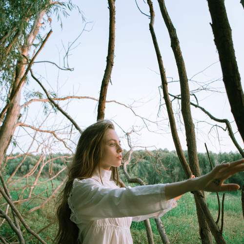 Photo #7419489