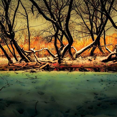 Photo #7419512