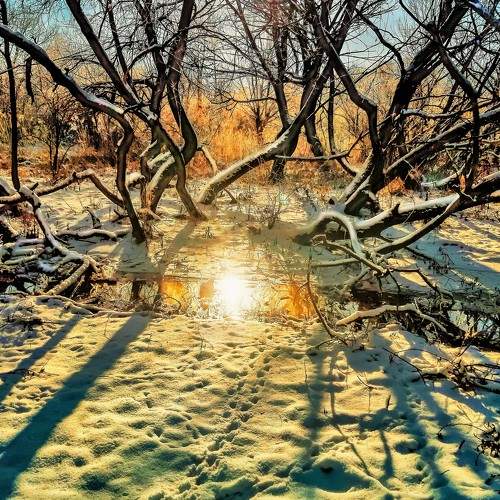 Photo #7419513