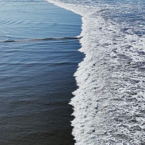 Photo #7419569