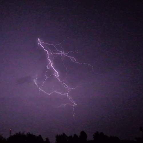 Photo #7419618