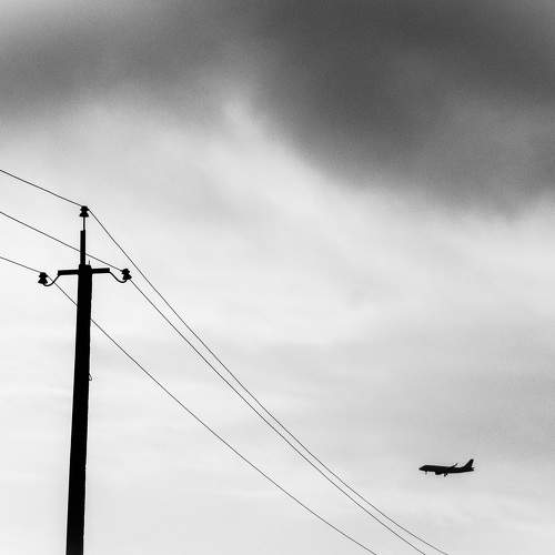 Photo #7420111