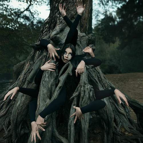 Photo #7420467