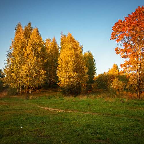 Photo #7420569