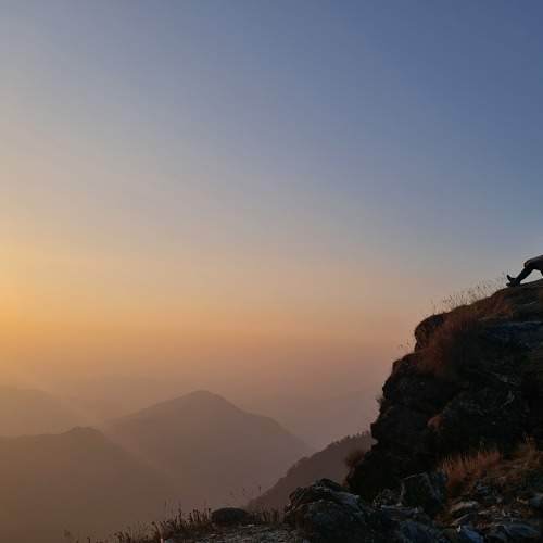 Photo #7420944