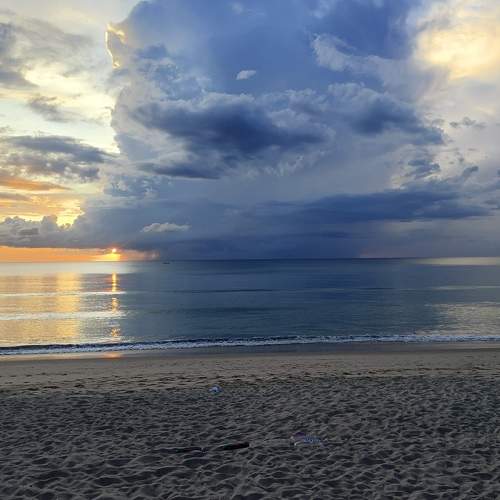 Photo #7420990